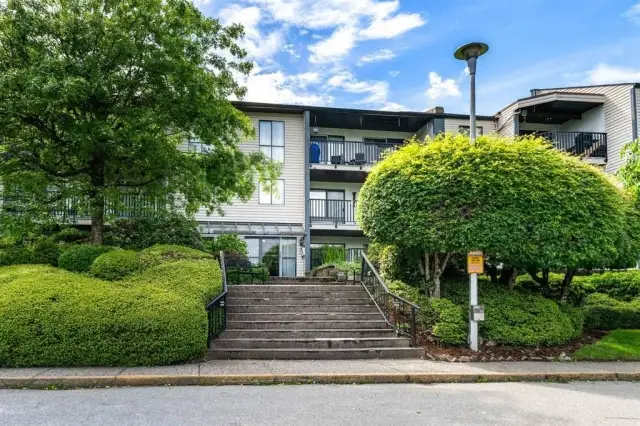New Listings in White Rock — June 2026