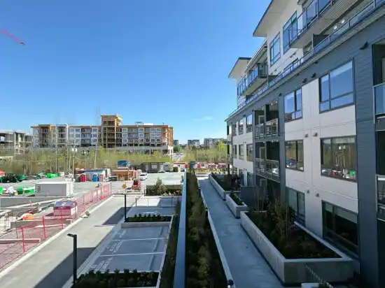 The Hive 2
