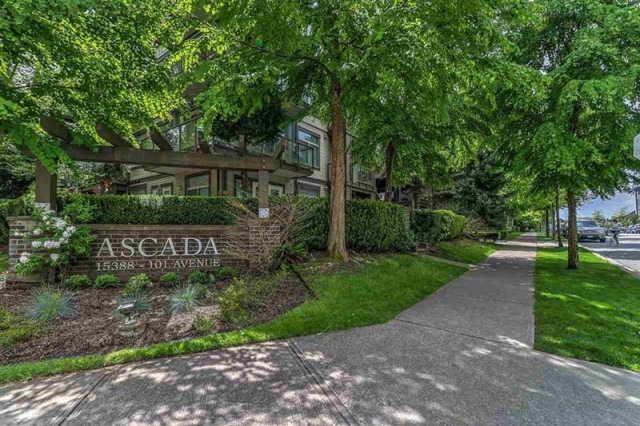 New Listings in White Rock — August 2026