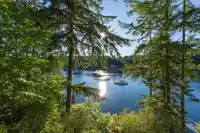 4707 FRANCIS PENINSULA ROAD - thumbnail 10