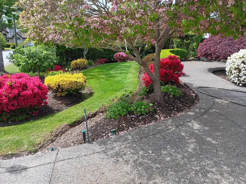 16221 MORGAN CREEK CRESCENT - photo 3 of 40