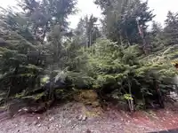 14963 PARKWOOD STREET - thumbnail 5