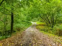 12181-12241 STAVE LAKE ROAD - thumbnail 14