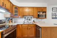 218 11510 225 STREET - thumbnail 7