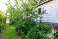 204 20071 24 AVENUE - thumbnail 38