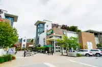 22 2955 156 STREET - thumbnail 40