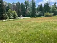 32383 DOWNES ROAD - thumbnail 7