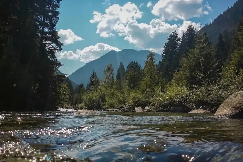 71423 GROVE BOULEVARD - photo 2 of 15