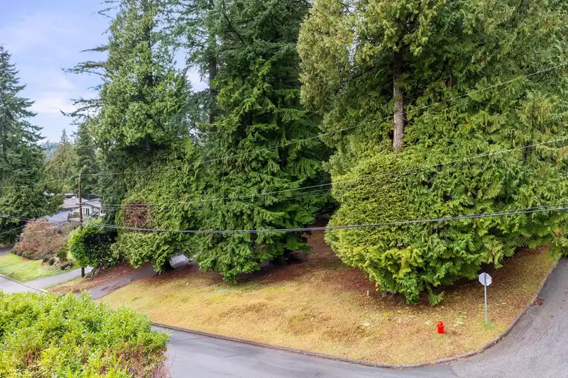 LOT 2 3091 ROYAL AVENUE - photo 4 of 19