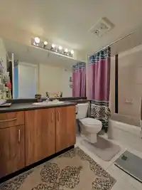 810 3663 CROWLEY DRIVE - thumbnail 7