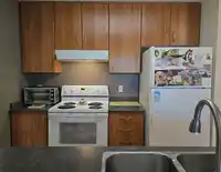 810 3663 CROWLEY DRIVE - thumbnail 9