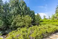 15442 KILKEE PLACE - thumbnail 28