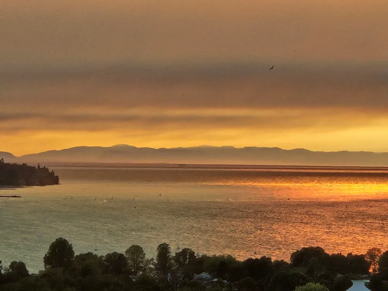 3202 501 PACIFIC STREET - photo 3 of 25