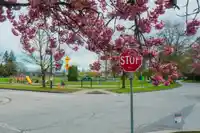 411 5733 ALBERTA STREET - thumbnail 35