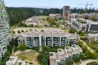 313 5687 GRAY AVENUE - thumbnail 33