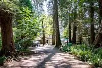 3581 BEACH AVENUE - thumbnail 35