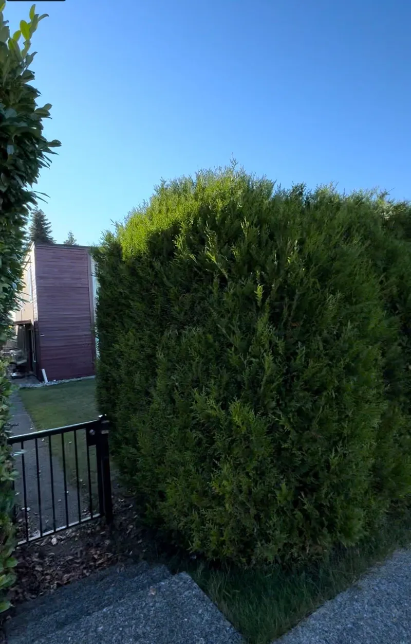 5333 BARKER AVENUE - photo 3 of 5