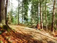 6151 HARBOUR WAY - thumbnail 8