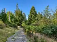31081 SILVERHILL ROAD - thumbnail 34
