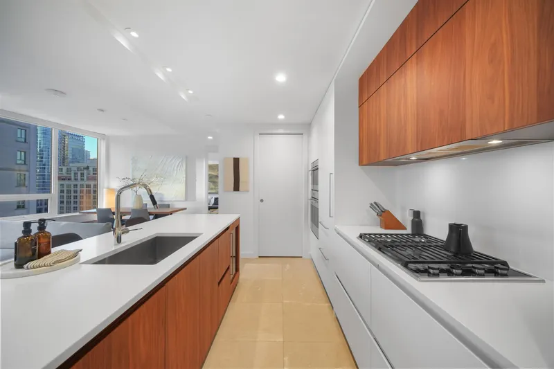 1405 885 CAMBIE STREET - photo 3 of 25