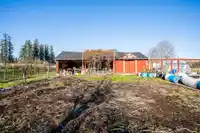 6290 272 STREET - thumbnail 7