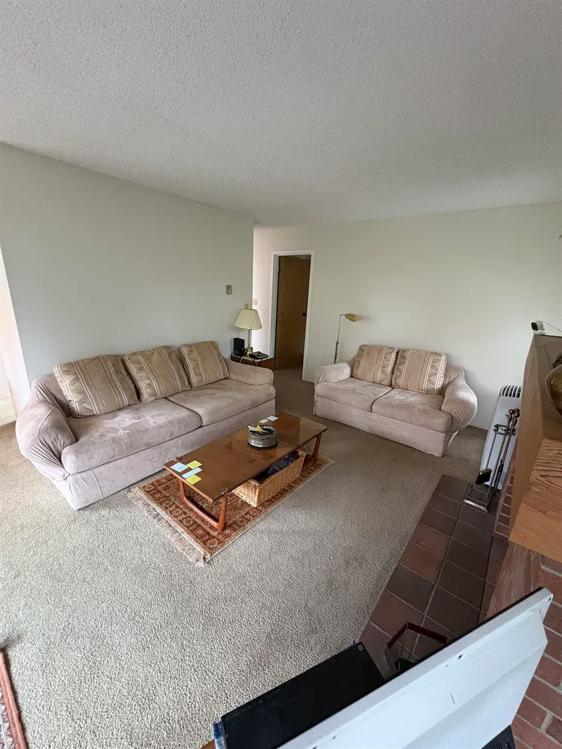 301 7411 MINORU BOULEVARD - photo 3 of 24