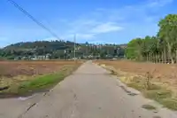 35826 SOUTH PARALLEL ROAD - thumbnail 11
