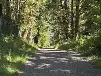 23315 122 AVENUE - thumbnail 15