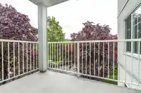 312 5465 201 STREET - thumbnail 34