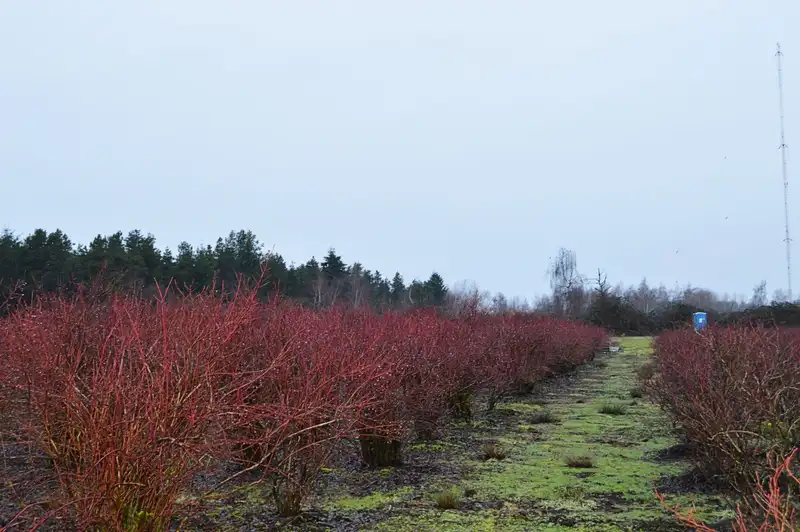 LOT 28 WESTMINSTER HIGHWAY - photo 3 of 13