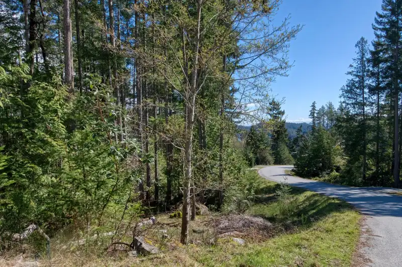 LOT 119 GODKIN WAY - photo 3 of 6