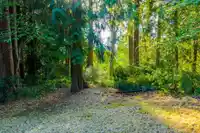 8061 MCGREGOR AVENUE - thumbnail 7