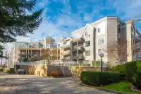 503 11605 227 STREET - thumbnail 1