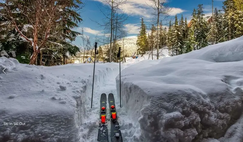 2924 BIG TIMBER COURT - photo 3 of 25