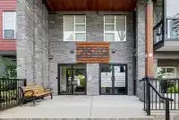 303 2649 JAMES STREET - thumbnail 3