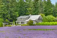 231 COLUMBIA VALLEY ROAD - thumbnail 33