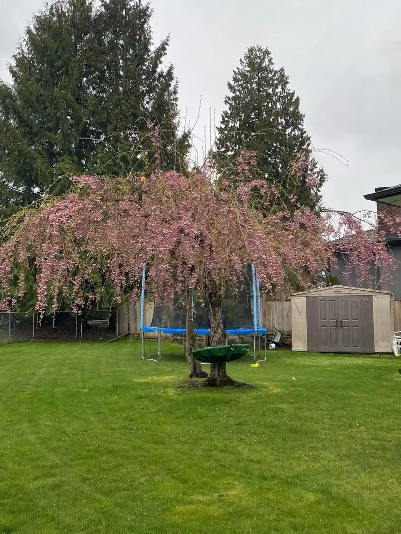 14920 KEW DRIVE - photo 4 of 25