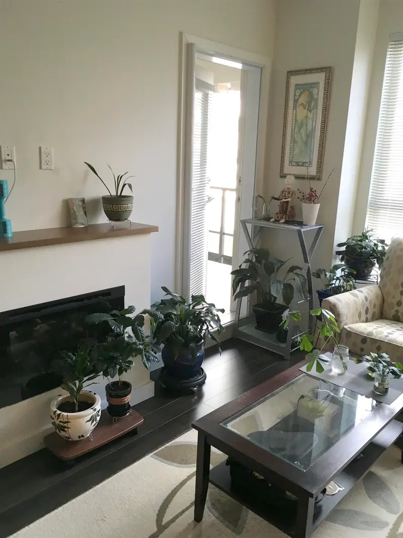 213 250 FRANCIS WAY - photo 4 of 20