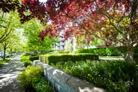 225 5777 BIRNEY AVENUE - thumbnail 2