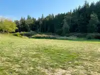 17384 8 AVENUE - thumbnail 1