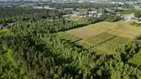 LOT 31 WESTMINSTER HIGHWAY - thumbnail 2