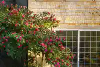 1245 ADAMS ROAD - thumbnail 32