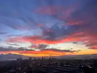 1903 6540 BURLINGTON AVENUE - thumbnail 31