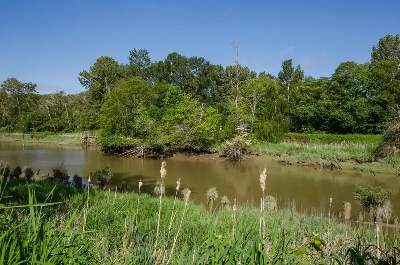 109 4955 RIVER ROAD - photo 2 of 40