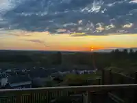 10163 247 STREET - thumbnail 35