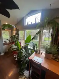 51733 YALE ROAD - thumbnail 20