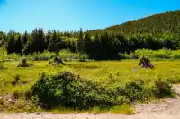 LOT H PANORAMA PARKWAY - thumbnail 4