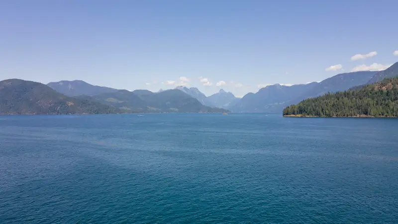 6290 MAPLE ROAD - photo 3 of 25