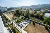 603 3055 MURRAY STREET - thumbnail 16