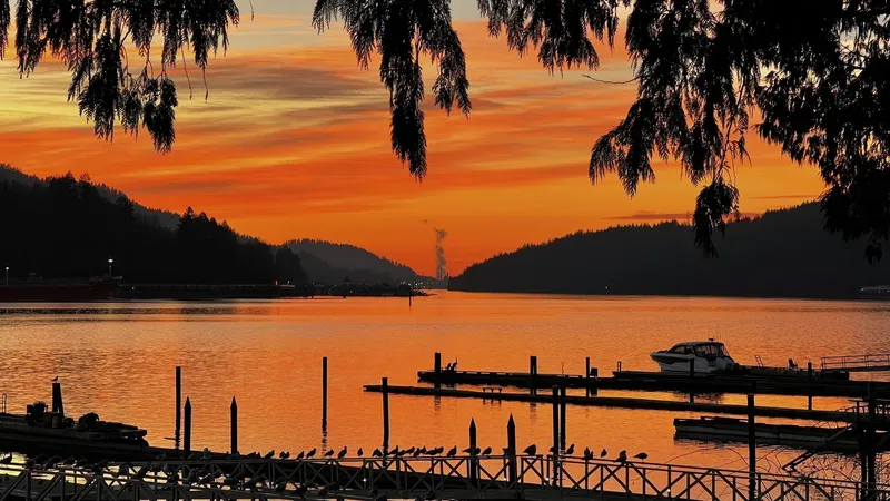 844 ALDERSIDE ROAD - photo 3 of 25